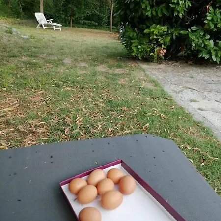 Patti Per Gruppi Fino A 20 Persone, Con Piscina Privata, Camino E Grande Giardino Nelle Colline Marchigiane Casa vacanze Pian di Mulino