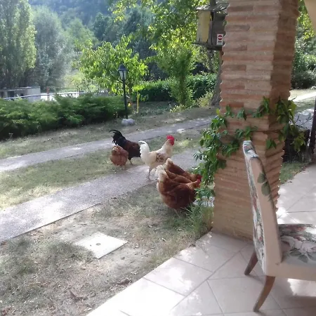 Patti Con Piscina E Camino Nelle Marche Vakantiehuis *