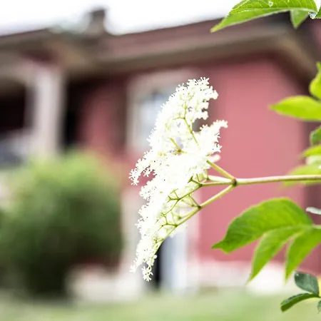 Holiday home Patti Con Piscina E Camino Nelle Marche Pian di Mulino